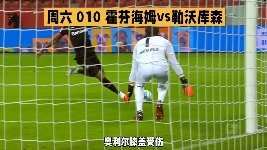 霍芬海姆客场不敌勒沃库森,遗憾失利 霍芬海姆客场不敌勒沃库森,遗憾失利