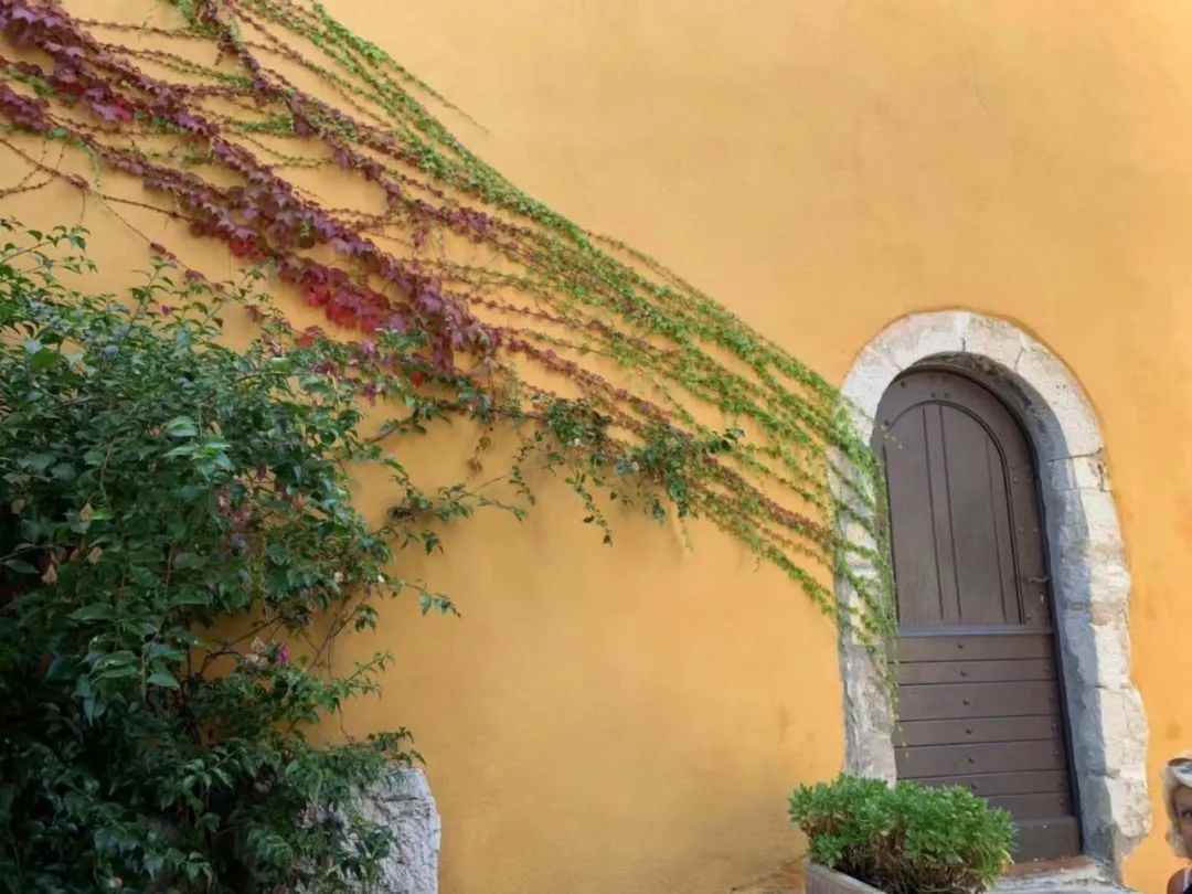 摩纳哥客场告捷，欧洲之路铺展开来