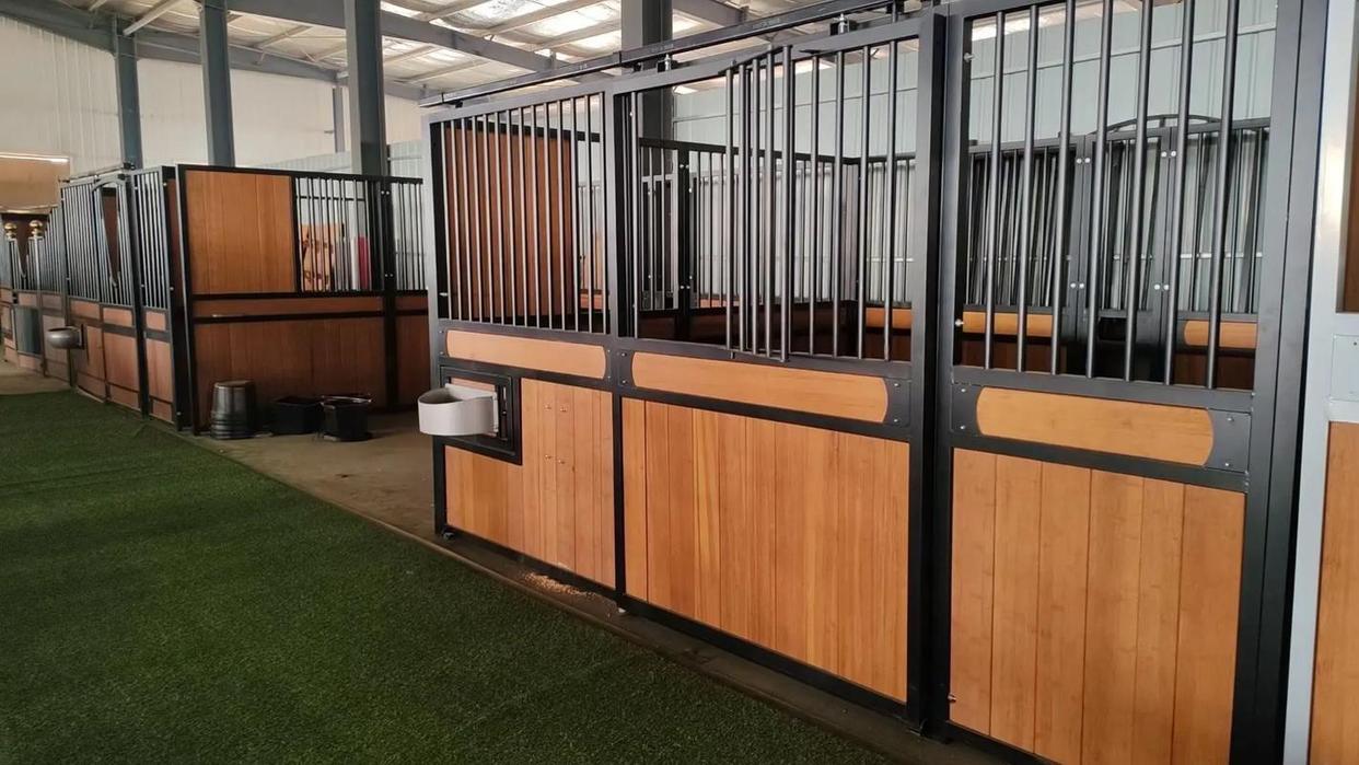 汉诺威艰难取胜,或许能为下一阶段角逐积分奠定基础 汉诺威艰难取胜,或许能为下一阶段角逐积分奠定基础