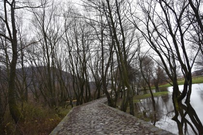 波黑憾负黑山,晋级前景暗淡 波黑憾负黑山,晋级前景暗淡