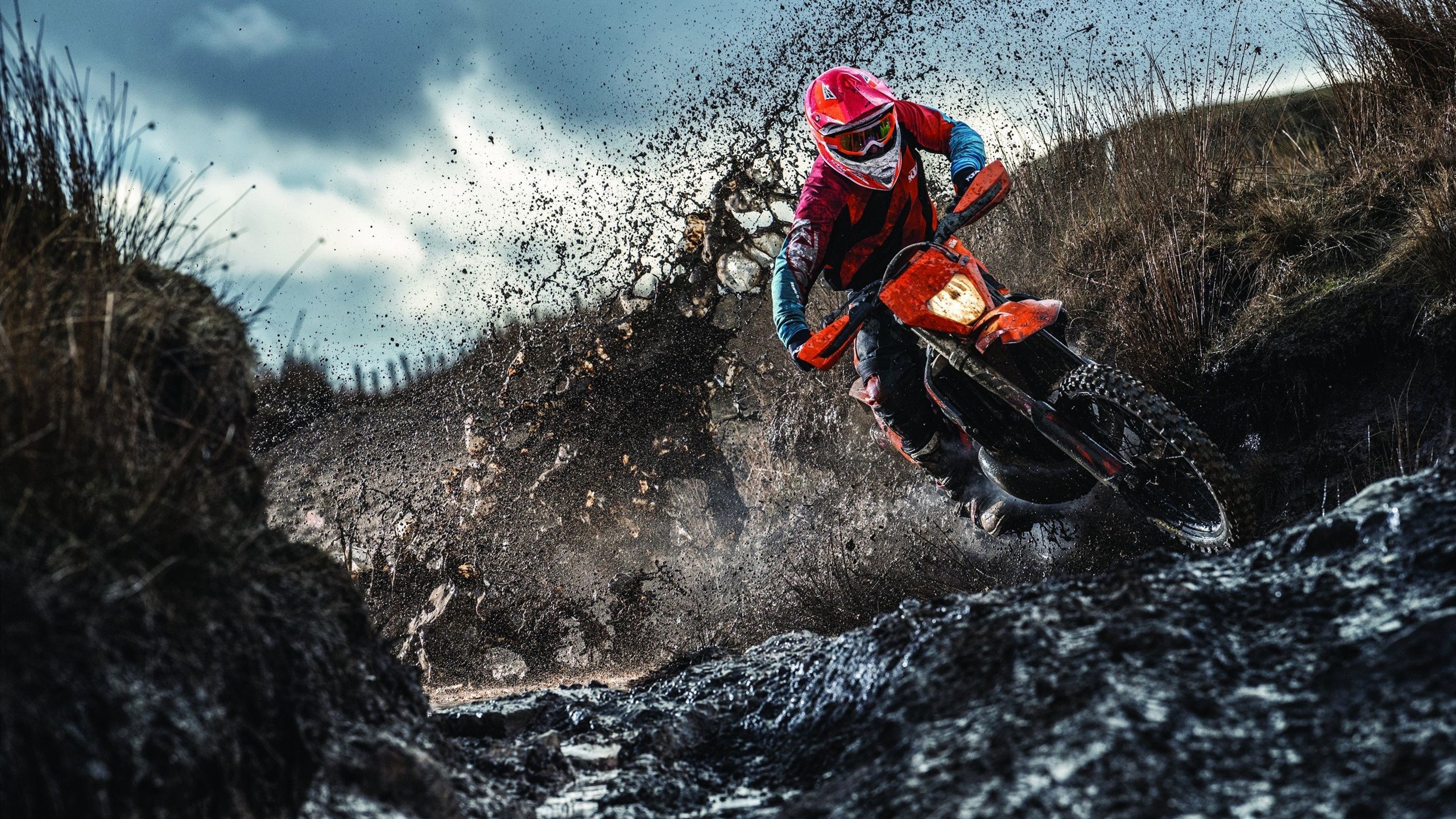 戴维斯杯的钢索上，阿尔卡拉斯用温网的剑，挑起总决赛的冠